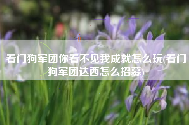 看门狗军团你看不见我成就怎么玩(看门狗军团达西怎么招募)