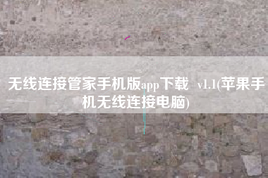 无线连接管家手机版app下载  v1.1(苹果手机无线连接电脑)