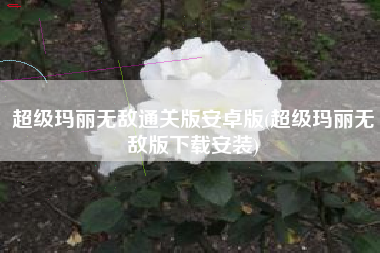 超级玛丽无敌通关版安卓版(超级玛丽无敌版下载安装)