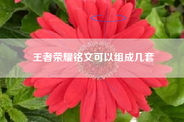 王者荣耀铭文可以组成几套
