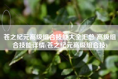 苍之纪元高级组合技能大全汇总 高级组合技能详情(苍之纪元高级组合技)