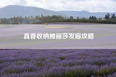 真香收纳摊丽莎发廊攻略