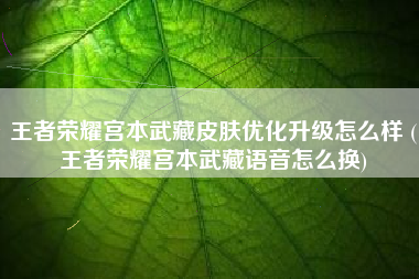 王者荣耀宫本武藏皮肤优化升级怎么样 (王者荣耀宫本武藏语音怎么换)