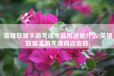 英雄联盟手游龙魂水晶用途是什么(英雄联盟手游龙魂商店皮肤)