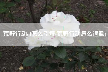荒野行动c4怎么引爆(荒野行动怎么退款)