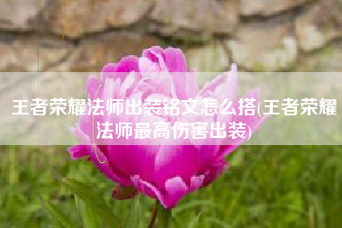 王者荣耀法师出装铭文怎么搭(王者荣耀法师最高伤害出装)