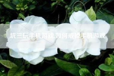 坑三玩手机游戏,如何戒掉手机游戏