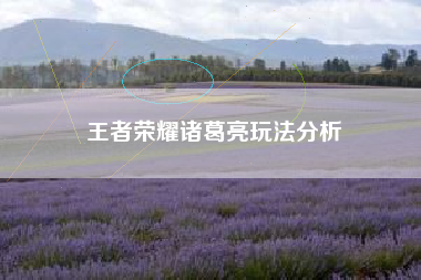 王者荣耀诸葛亮玩法分析