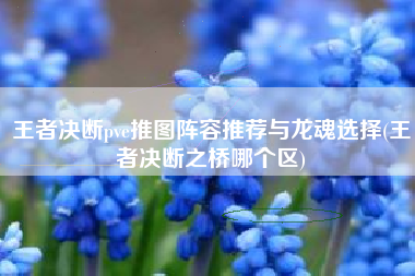 王者决断pve推图阵容推荐与龙魂选择(王者决断之桥哪个区)