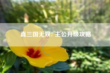 真三国无双7 主公升级攻略