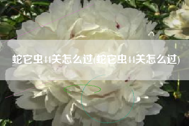 蛇它虫44关怎么过(蛇它虫44关怎么过)