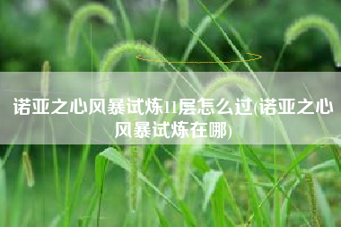 诺亚之心风暴试炼11层怎么过(诺亚之心风暴试炼在哪)