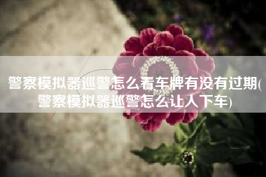 警察模拟器巡警怎么看车牌有没有过期(警察模拟器巡警怎么让人下车)