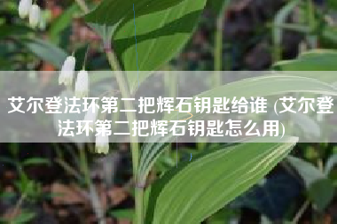 艾尔登法环第二把辉石钥匙给谁 (艾尔登法环第二把辉石钥匙怎么用)