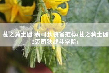苍之骑士团2裘司狄装备推荐(苍之骑士团2裘司狄战斗学院)