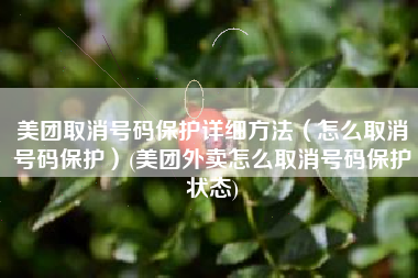 美团取消号码保护详细方法（怎么取消号码保护）(美团外卖怎么取消号码保护状态)