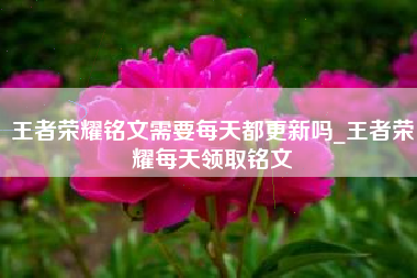 王者荣耀铭文需要每天都更新吗_王者荣耀每天领取铭文