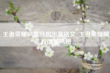 王者荣耀阿政马超出装铭文_王者荣耀阿政国服马超