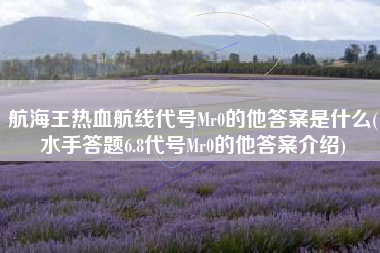 航海王热血航线代号Mr0的他答案是什么(水手答题6.8代号Mr0的他答案介绍)