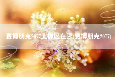 赛博朋克2077北橡区在哪(赛博朋克2077)