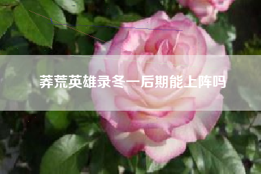 莽荒英雄录冬一后期能上阵吗