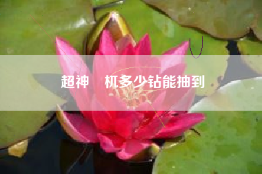 超神梼杌多少钻能抽到
