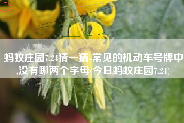 蚂蚁庄园7.24猜一猜-常见的机动车号牌中,没有哪两个字母(今日蚂蚁庄园7.24)