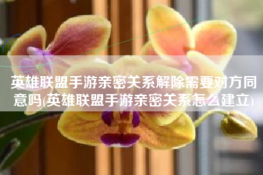 英雄联盟手游亲密关系解除需要对方同意吗(英雄联盟手游亲密关系怎么建立)