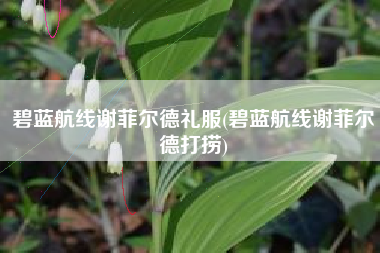 碧蓝航线谢菲尔德礼服(碧蓝航线谢菲尔德打捞)