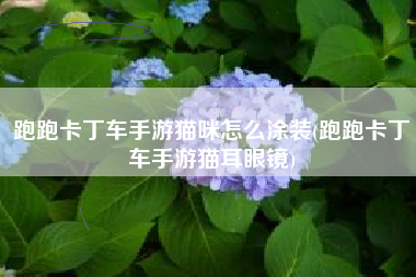跑跑卡丁车手游猫咪怎么涂装(跑跑卡丁车手游猫耳眼镜)