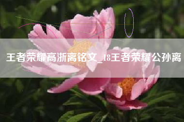 王者荣耀高浙离铭文_18王者荣耀公孙离