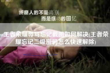 王者荣耀辱骂忘记截图如何解决(王者荣耀忘记二级密码怎么快速解除)