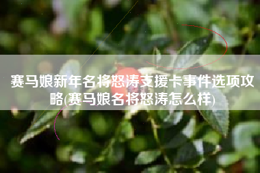 赛马娘新年名将怒涛支援卡事件选项攻略(赛马娘名将怒涛怎么样)