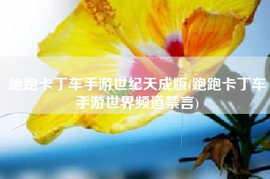 跑跑卡丁车手游世纪天成版(跑跑卡丁车手游世界频道禁言)