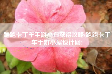 跑跑卡丁车手游小白获得攻略(跑跑卡丁车手游小屋设计图)