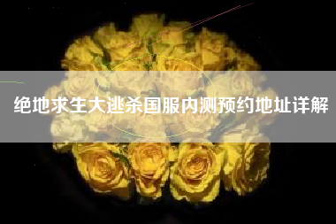 绝地求生大逃杀国服内测预约地址详解