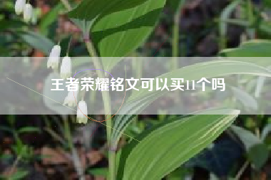 王者荣耀铭文可以买11个吗
