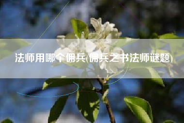 法师用哪个佣兵(佣兵之书法师谜题)