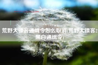 荒野大镖客通缉令怎么取消(荒野大镖客2黑白通缉令)