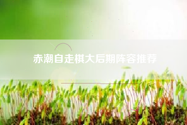 赤潮自走棋大后期阵容推荐