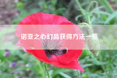 诺亚之心幻晶获得方法一览