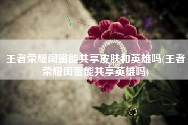 王者荣耀闺蜜能共享皮肤和英雄吗(王者荣耀闺蜜能共享英雄吗)