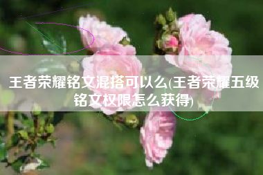 王者荣耀铭文混搭可以么(王者荣耀五级铭文权限怎么获得)