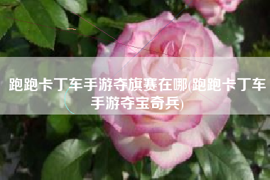 跑跑卡丁车手游夺旗赛在哪(跑跑卡丁车手游夺宝奇兵)