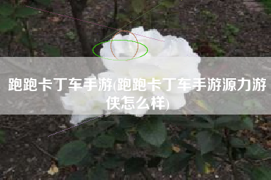 跑跑卡丁车手游(跑跑卡丁车手游源力游侠怎么样)