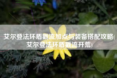 艾尔登法环盾戳流加点与装备搭配攻略(艾尔登法环盾戳流开荒)
