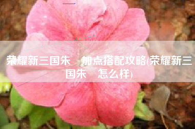 荣耀新三国朱儁加点搭配攻略(荣耀新三国朱儁怎么样)