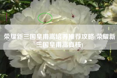 荣耀新三国皇甫嵩培养推荐攻略(荣耀新三国皇甫嵩真核)