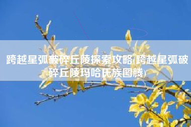 跨越星弧破碎丘陵探索攻略(跨越星弧破碎丘陵玛哈氏族图腾)