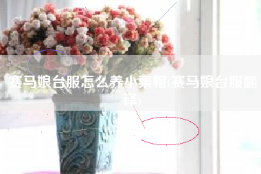 赛马娘台服怎么养小栗帽(赛马娘台服翻译)